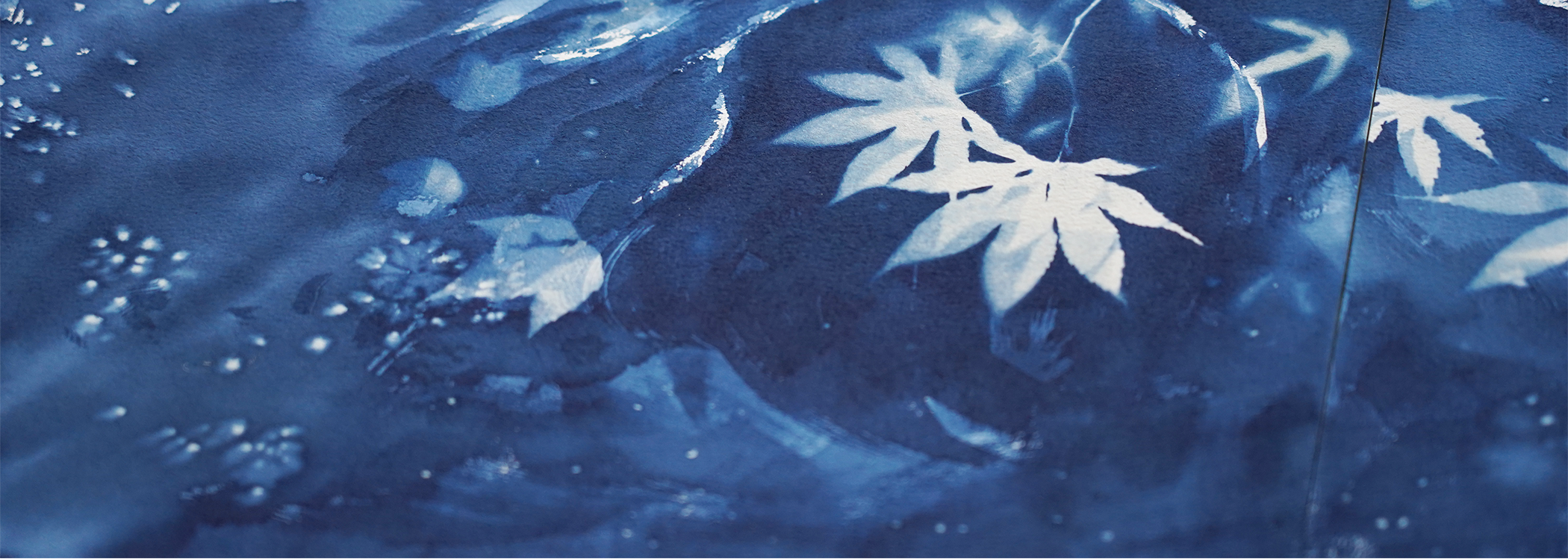 cyanotype blue art maple leaves botanical art peaceful meditation