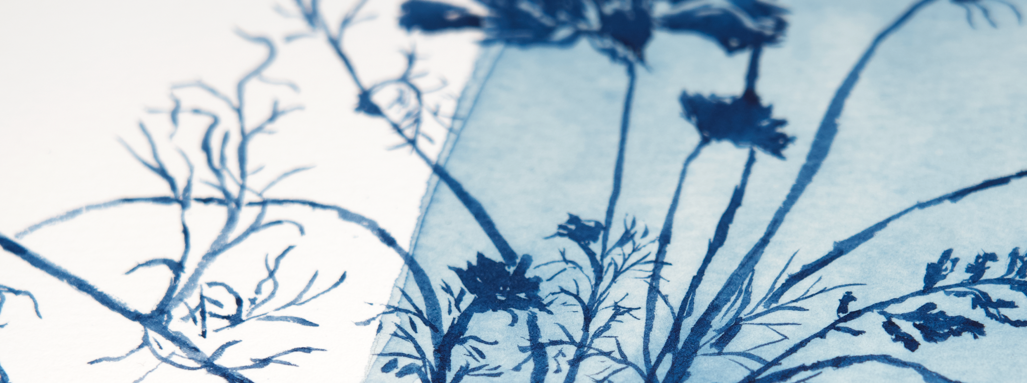 cyanotype botanical art blue art peaceful meditation art for bedroom