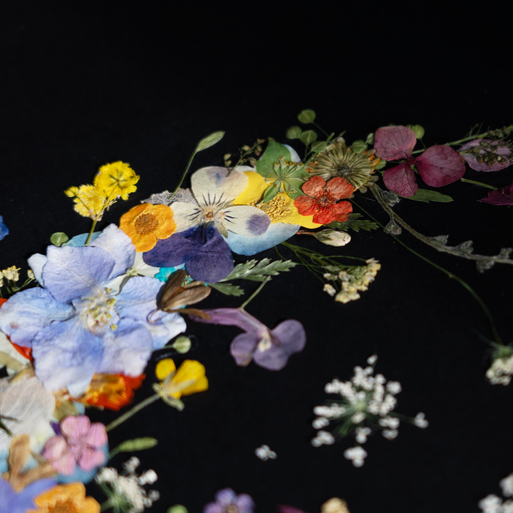 floral art