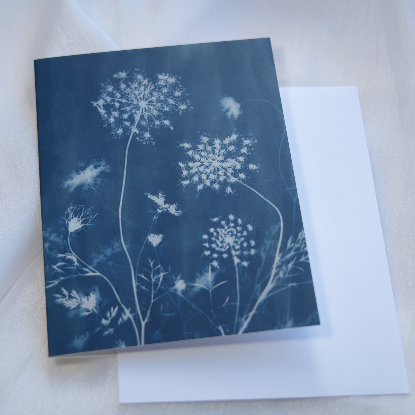 flower art greeting cards for nature lovers queen anne's lace art