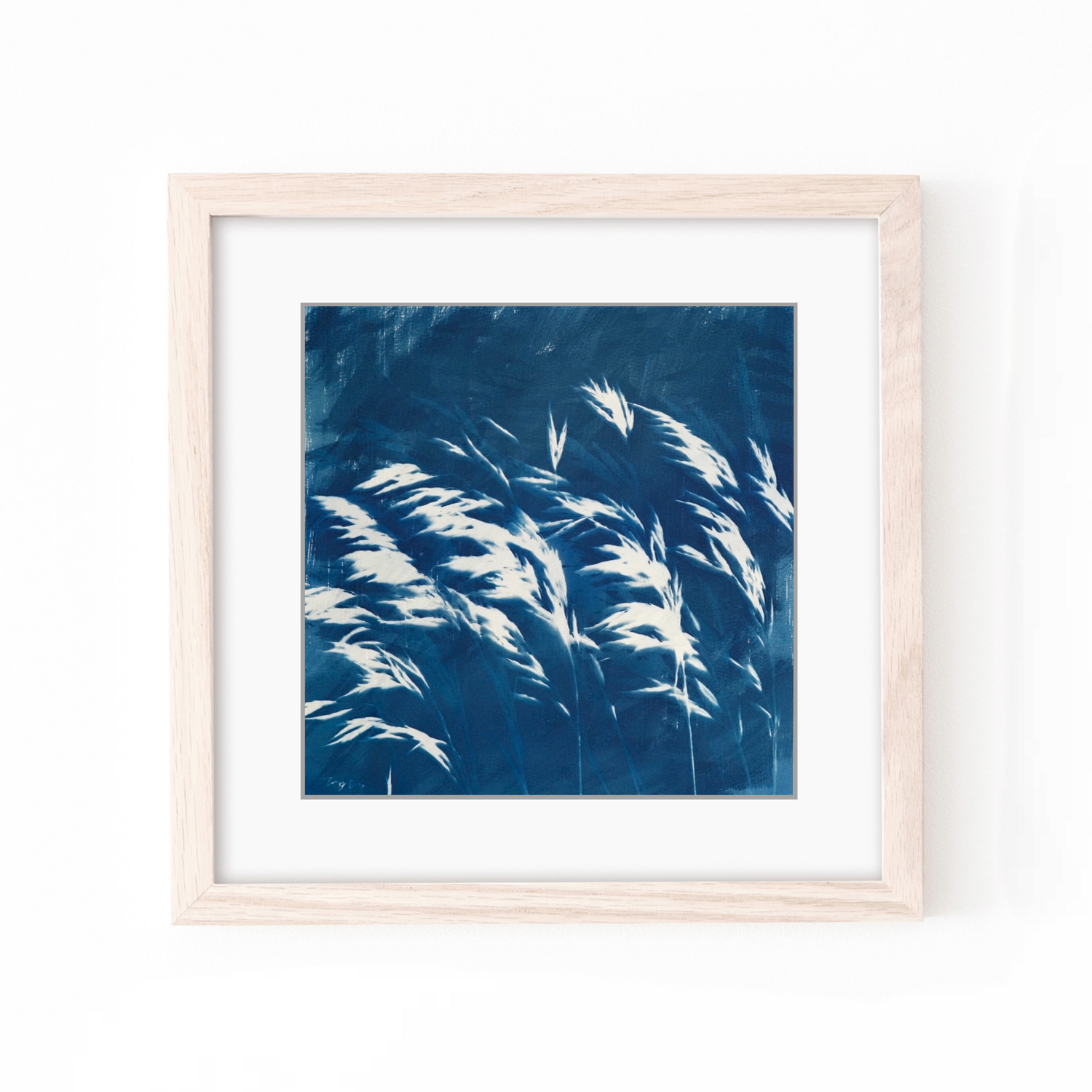 botanical cyanotype solar printing blue art for your walls
