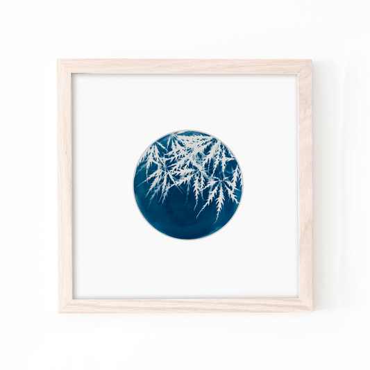 cyanotype sun printing blue art