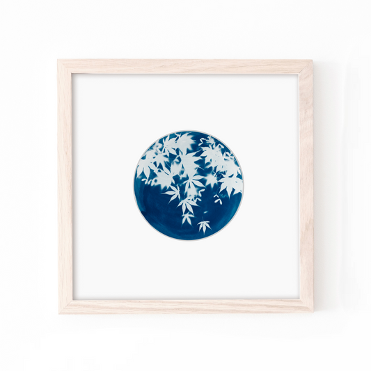 botanical solar print cyanotype