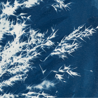 peaceful botanical blue art for medical office