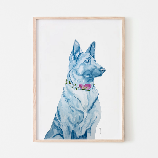 cyanotype blue and white art dog portrait german shepherd