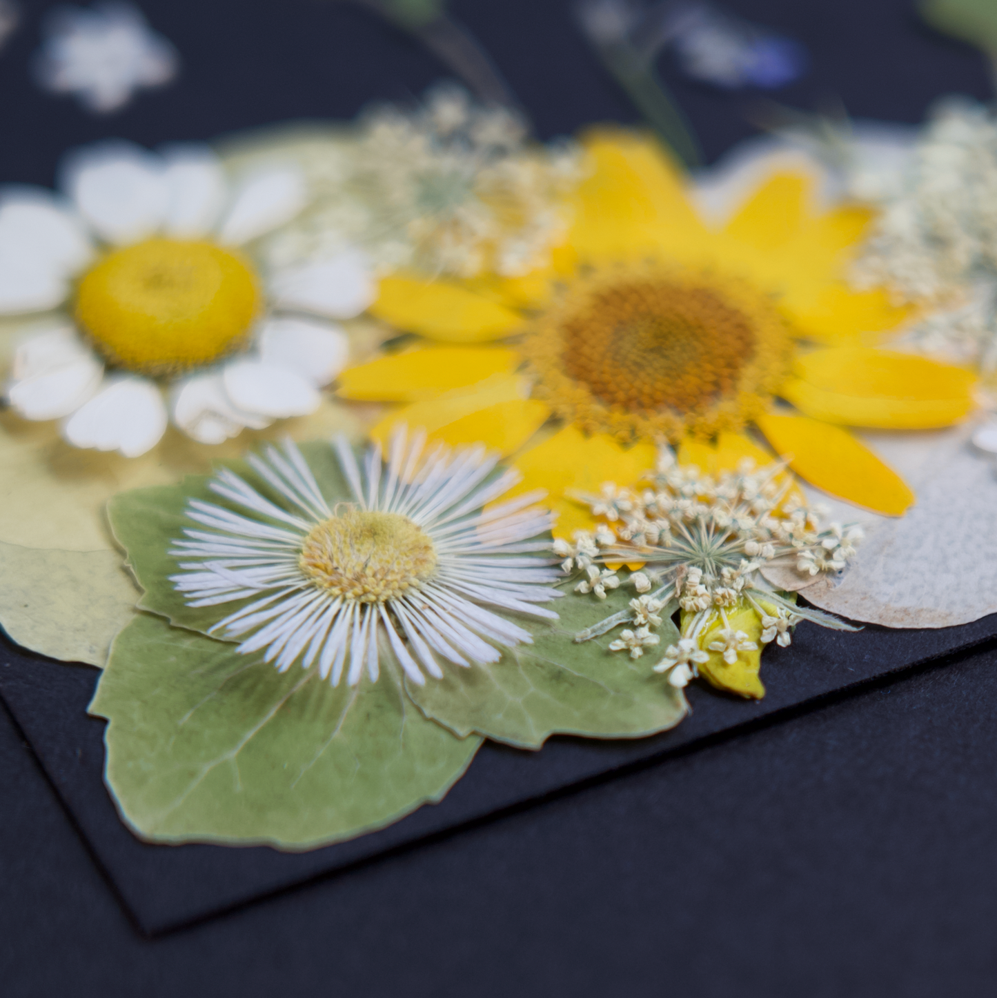 pressed flower art by The Blu Art