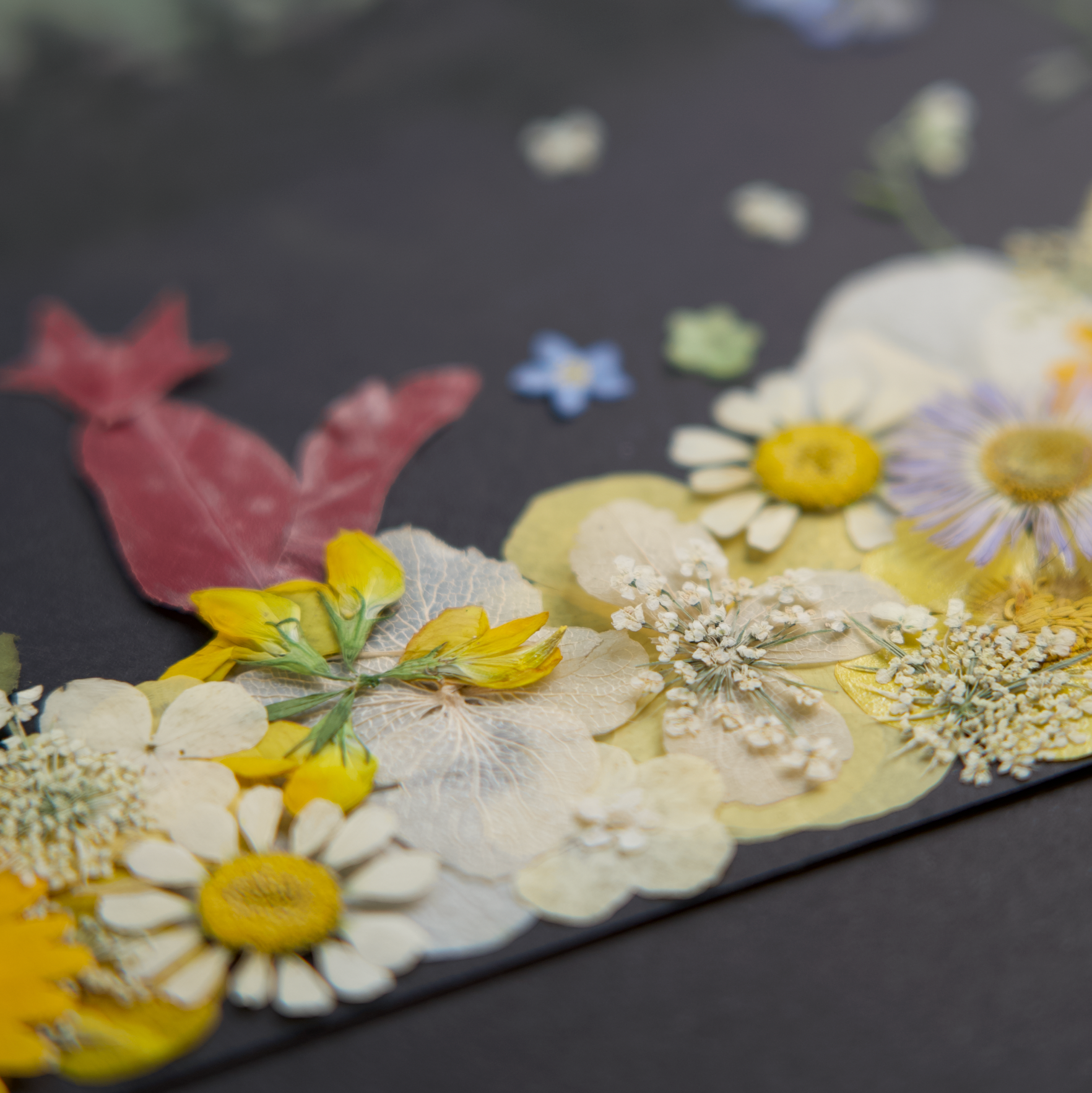 pressed flower art pastel painting 