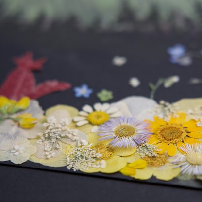 pressed flower art pastel painting Northern lights