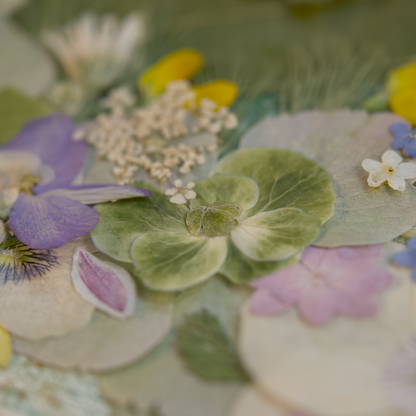 pressed flower artwork