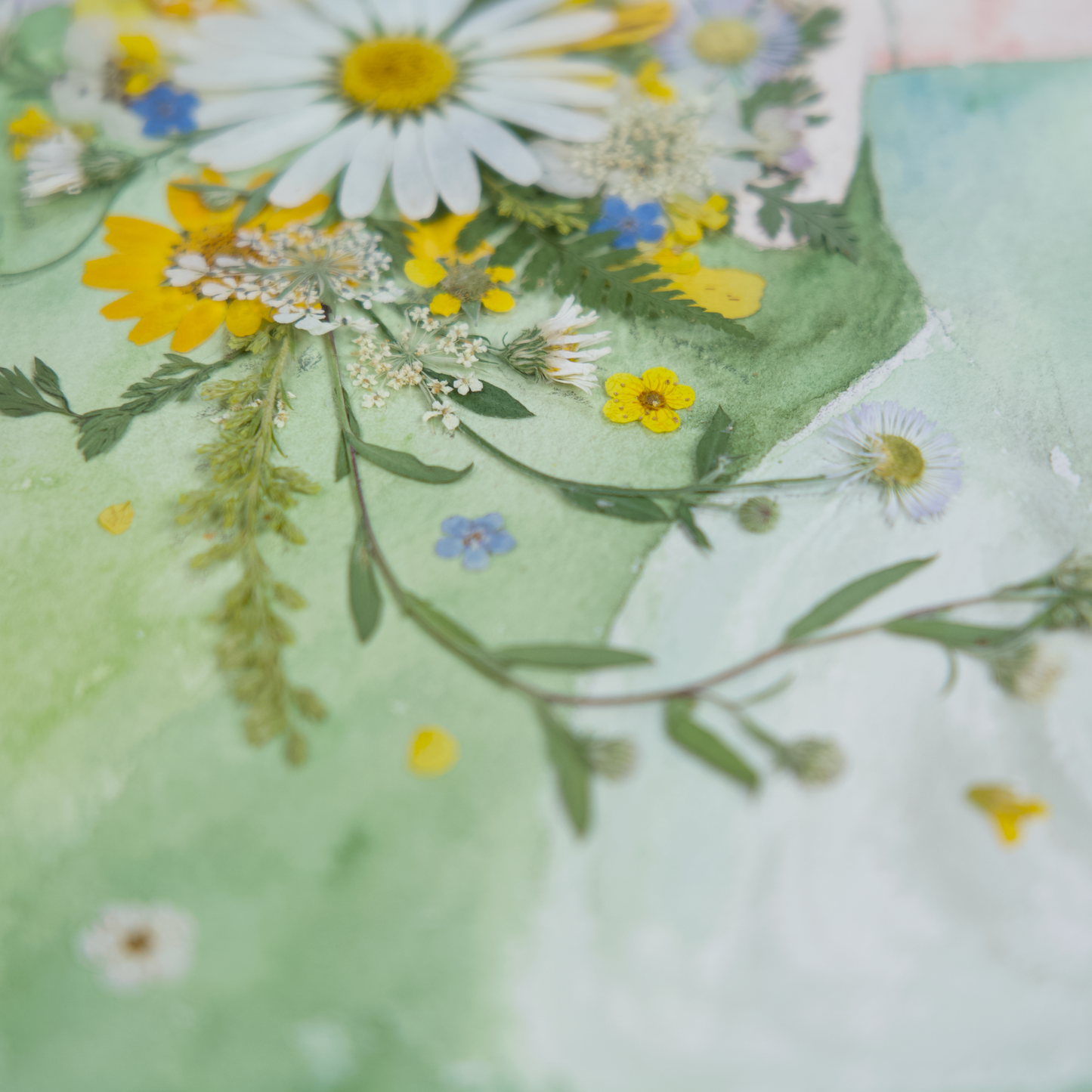 summer flower artwork