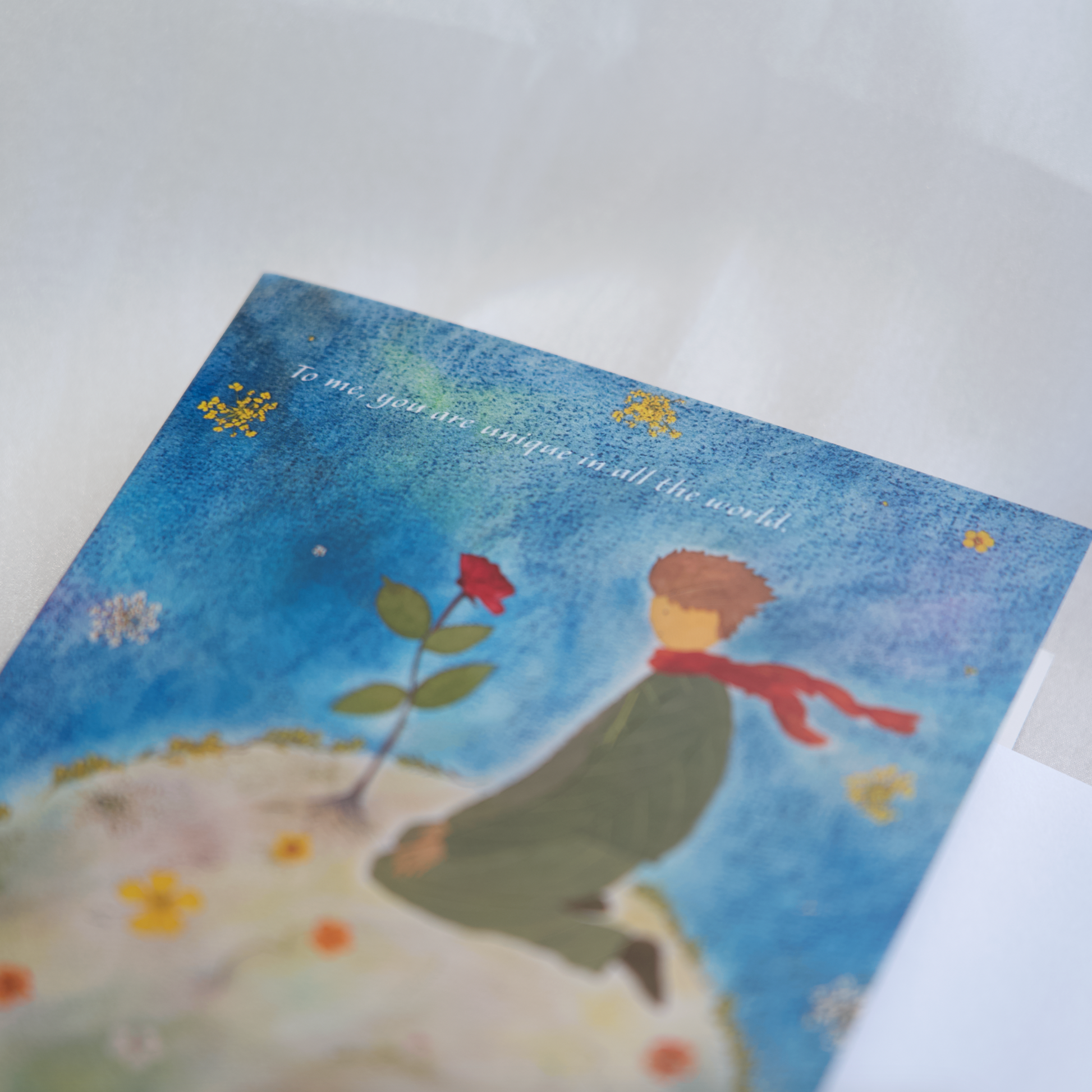 pressed flower art the little prince greeting cards for kids