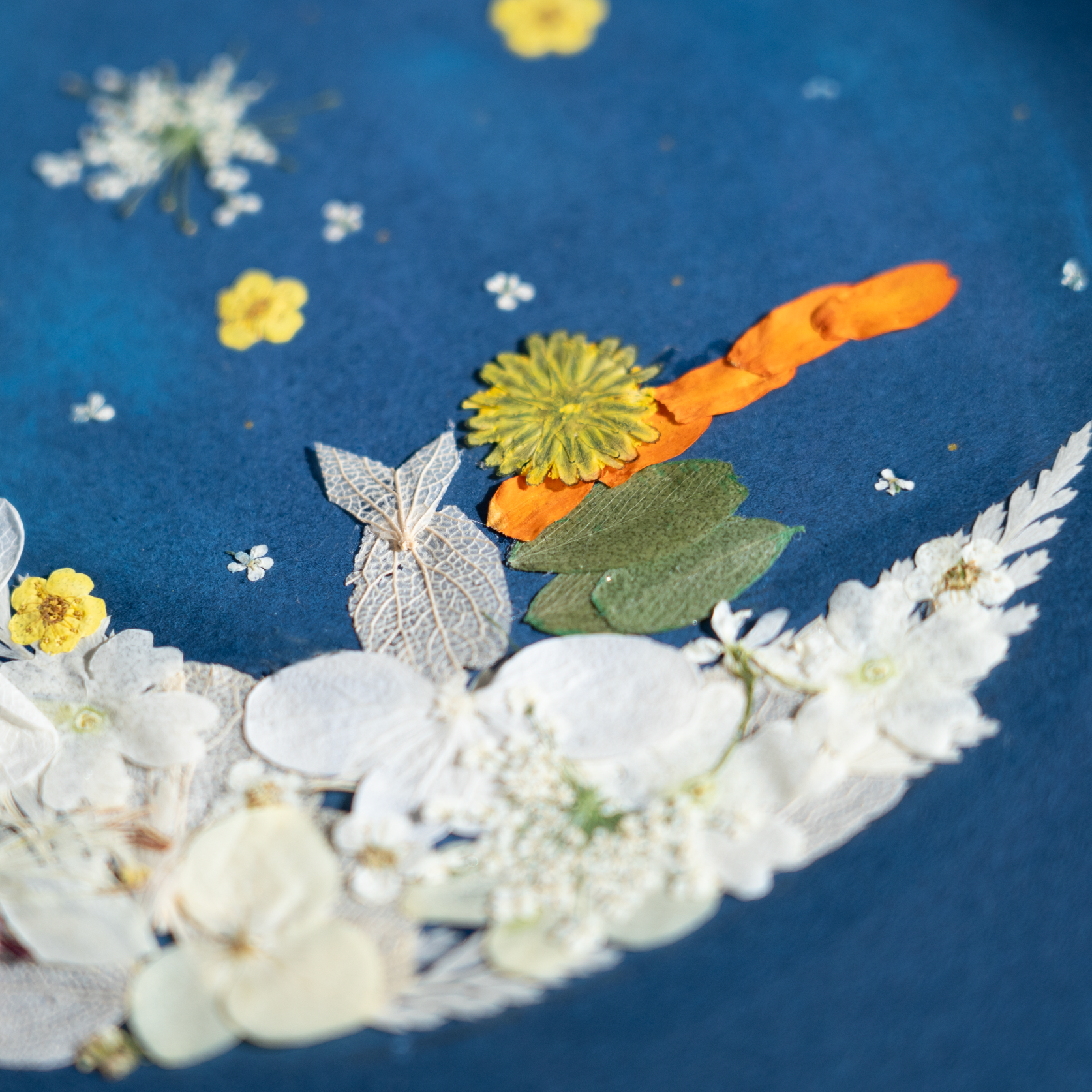 the little prince pressed flower art for nursery room
