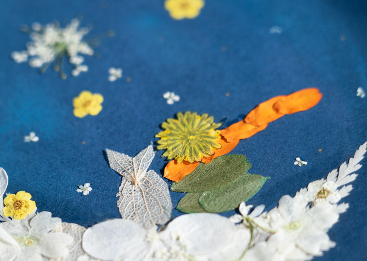 the little prince pressed flower art for nursery room