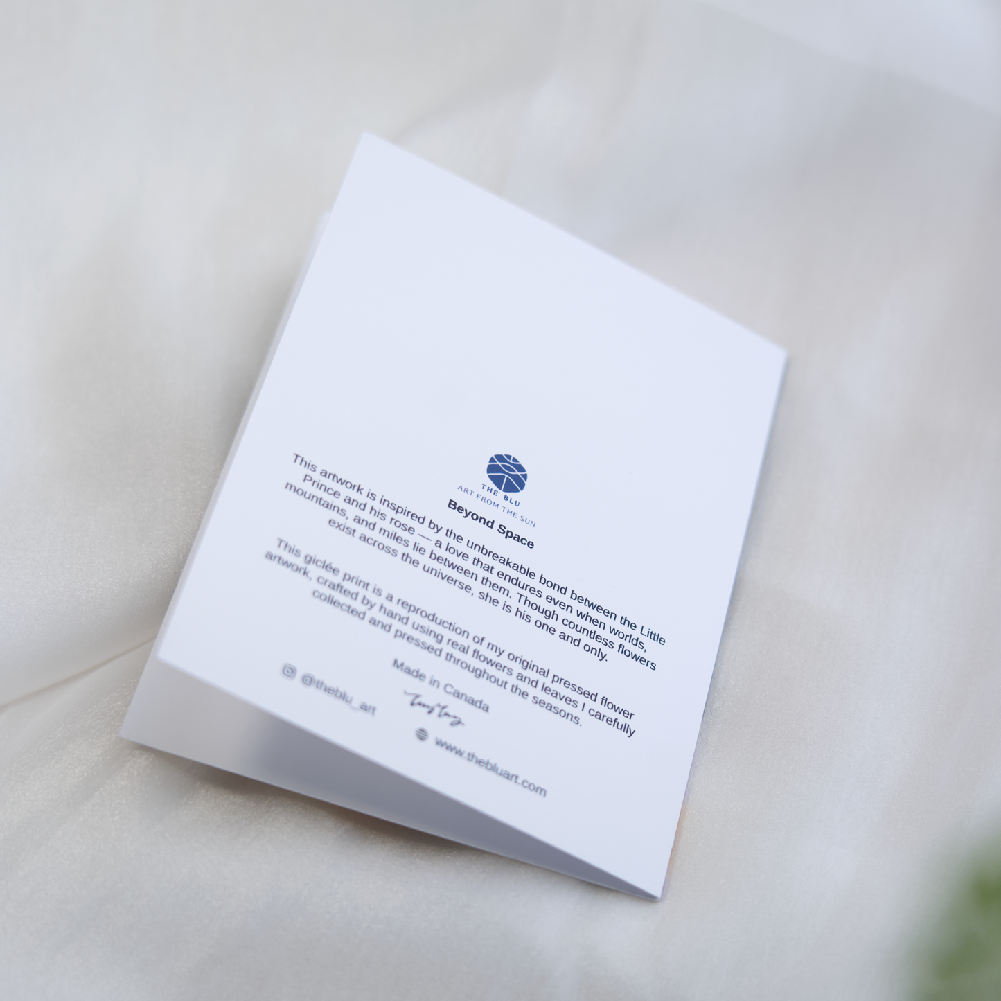 the little prince and his rose whimsical greeting cards for anniversary