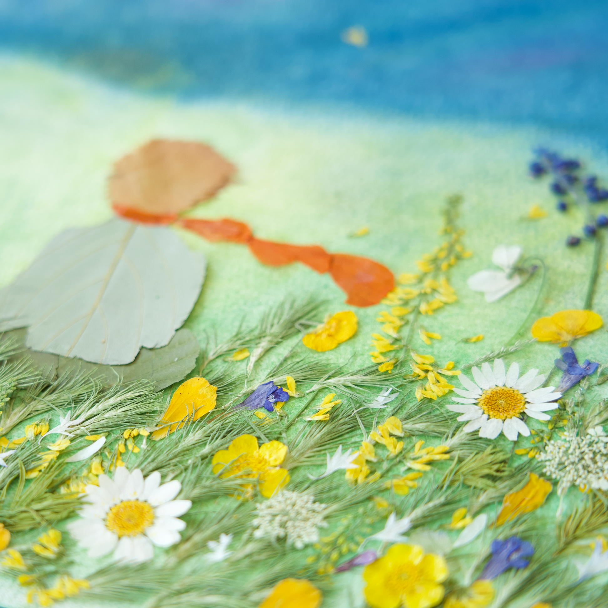 the little prince pressed flower art for children