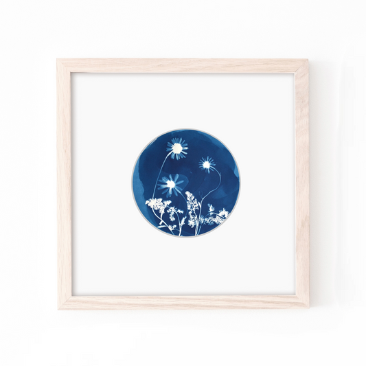 cyanotype solar printing blue art